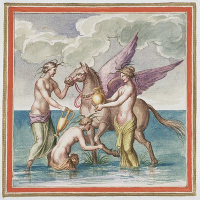 Ms Gen 1496 Plate XXX Pegasus, 1674 by Pietro Santi Bartoli